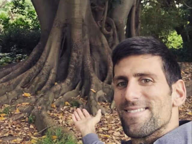 <p>Novak Djokovic in the Botanical Gardens in Melbourne</p>
