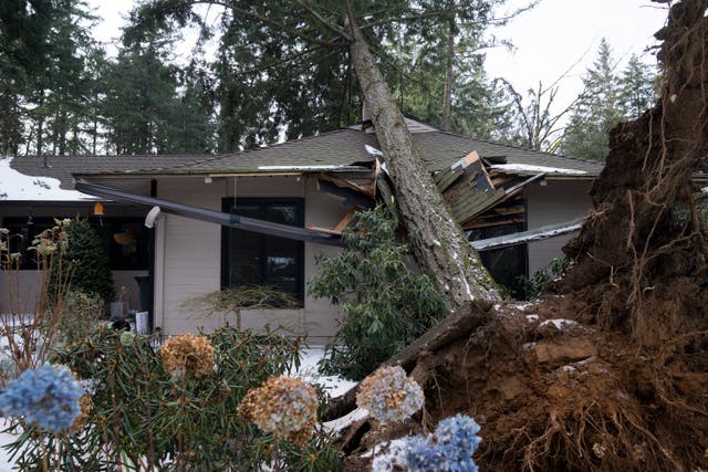 <p>A winter storm coated Oregon with ice and downed trees throughout the region — as pictured above in Lake Oswego, Oregon — on Tuesday, resulting in a loss of power for thousands</p>
